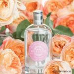 EAU DE TOILETTE DURANCE 'Rose Pétale'