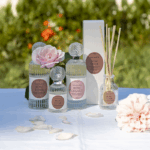 Ensemble de parfum d'intérieur rose élixir rose élégante mathilde m en flacon en verre décoratif