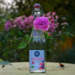Bouteille en verre de limonade artisanale et bio à la rose